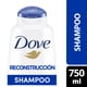 thumbnail image 1 of Dove Shampoo Reconstrucción Completa, 750 ml, 1 of 6
