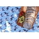 thumbnail image 2 of Manta Picnic Bulldog, 2 of 3