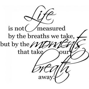 Rienda Libre Graphics - Decomural Life Is Not Measured Inspirational Ws-15099