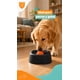 thumbnail image 5 of Dispensador Alimento Perros Plato Anti Ansiedad Mascota, 5 of 13