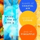 thumbnail image 2 of Recambios Glade Plugins para ambientador Coastal Sunshine, 20 ml x 5, 2 of 9