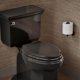 thumbnail image 2 of Asiento de inodoro KOHLER Cachet ReadyLatch alargado negro, 2 of 9