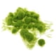 thumbnail image 5 of Artificial Grass Powder Model Building Decor DIY Accesorios Verde Claro, 5 of 5