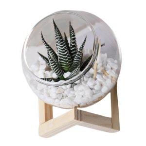 Ioensy - Maceta De Cristal Con Adornos Florales, Maceta Creativa Para Jardín Al Aire Libre, Hotel, 12Cm