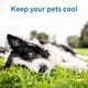 thumbnail image 2 of Alfombrilla para perros Cooling Mat The Green Pet Shop XL para perros de más de 36 kg, 2 of 6