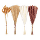 thumbnail image 2 of Ramo flores secas pampas y cola de conejo, 2 of 3