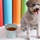 thumbnail image 5 of Cuenco Elevado Para Gatos, Cuenco Para Comida, Alimentador De Agua, Cachorro Antideslizante Para Perros, Gris, 5 of 6