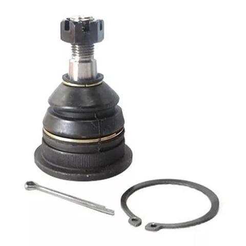 Corven - Rotula Zna Rich Superior 10/18