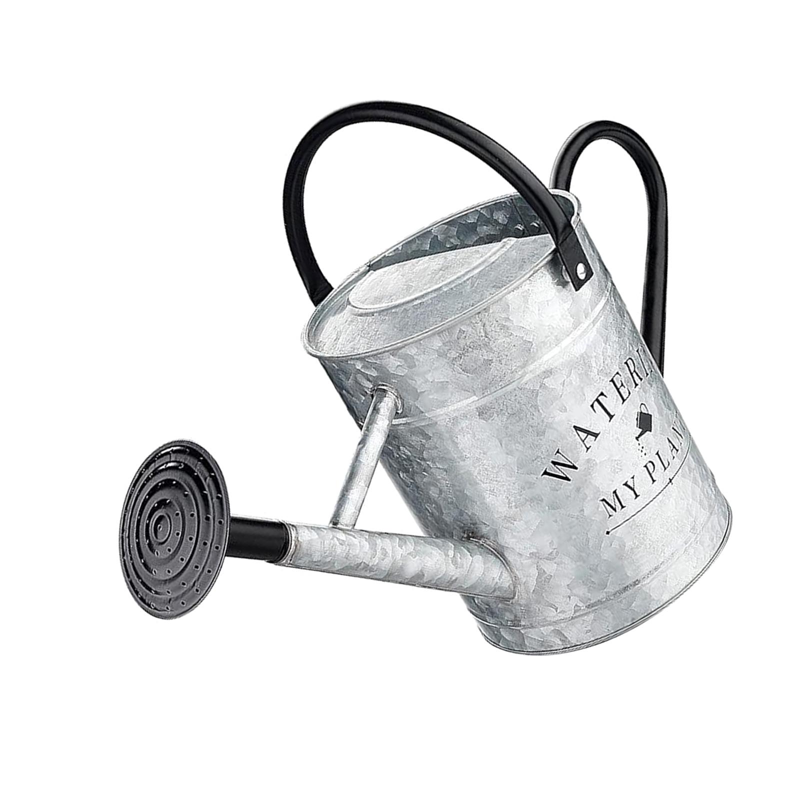 Ioensy - Regadera De Metal Con Boquilla Extraíble Para Flores Y Verduras En El Jardín.