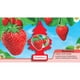 thumbnail image 1 of Pino Aromatizante Frutilla, 1 of 3