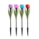 thumbnail image 1 of Estaca solar decorativa flor tulipan, 1 of 4