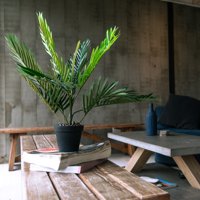 Vadell Home - Palmera Mini De 60 Cm