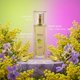 thumbnail image 5 of Agua de Tocador Charrier Parfums 30 ml Mimosa, 5 of 5
