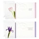 thumbnail image 5 of Sympathy Cards Hallmark Surtido de flores con 12 tarjetas y sobres, 5 of 9