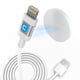 thumbnail image 1 of Cable de carga MAGNICPRO de 10 pies con LED para teléfono Lightning con imán, 1 of 9