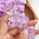 thumbnail image 3 of Ribete de cinta simpleSS 3 yd Encaje floral morado 4 cm, 3 of 6
