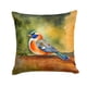 thumbnail image 1 of Cojín Mandarin Duck 35 X 35 Cm, 1 of 6
