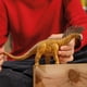 thumbnail image 2 of Figura de dinosaurio Schleich Bajadasaurus de juguete para niños mayores de 5 años, 2 of 5