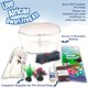 thumbnail image 3 of Kit inicial de rana enana africana Nature Gift Store, 3 of 5