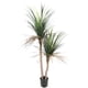 thumbnail image 1 of Planta Artificial Yuca 160 CM, Con Filtro UV, 1 of 3