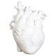 thumbnail image 3 of Jarrón De Corazón Anatómico Estatua De Resina Adorno De Maceta Blanco 15x10.5x21CM, 3 of 5