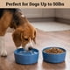 thumbnail image 3 of Juego de 2 cuencos para perro HB Design Co., 17 cm, 4 tazas, 3 of 9
