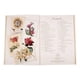 thumbnail image 2 of Maravillas De La Botanica Editorial Lexus Tapa Dura, 2 of 4
