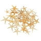 thumbnail image 1 of Conchas De Estrella De Mar Naturales, Exhibición De Boda, Decoración Artesanal Para Acuario, 2-3cm, 50 Uds., 1 of 2