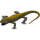 thumbnail image 4 of Lagartija tambaleante superflexible de 35cm, 4 of 4