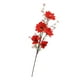 thumbnail image 2 of Regalo De Arreglo Floral De Flor De Margarita Artificial Para Jardín, Oficina, Hogar, Rojo, 2 of 3