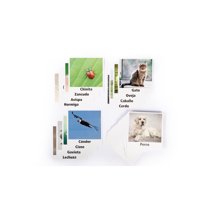 Seigard - Set De 60 Láminas Imágenes Reales