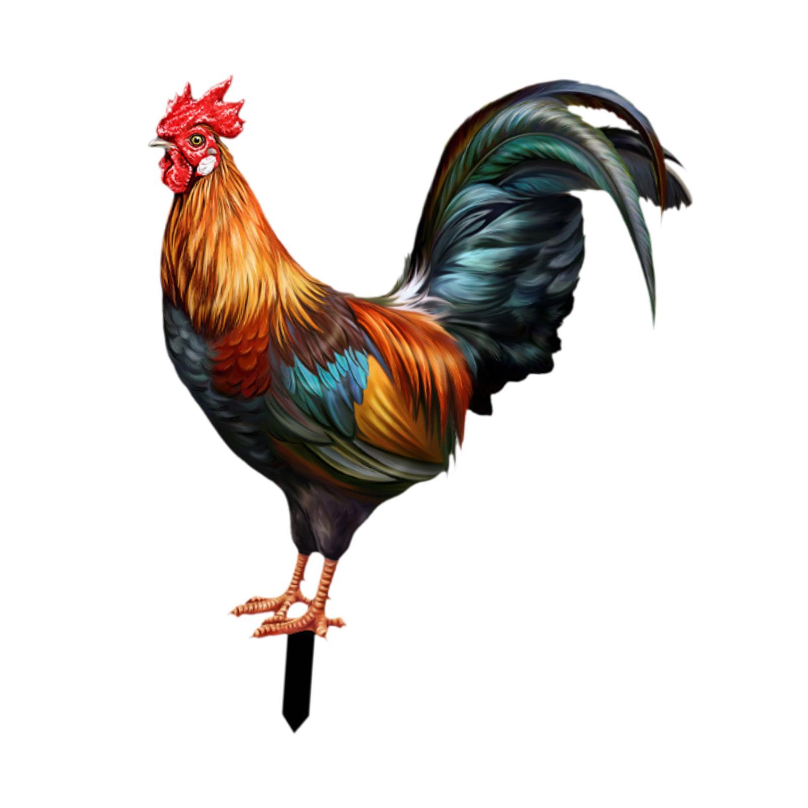 Ioensy - Inserto Decorativo Para Jardín, Estacas De Animales De Gallina Para Camino, Granja Al Aire Libre