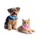 thumbnail image 1 of Collar LED Perro USB Recargable 39 cm 3-12 kg rosa, 1 of 11