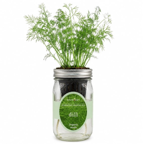 Kit de cultivo hidropónico de eneldo Environet para interior