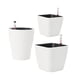 thumbnail image 1 of 3 Uds Macetas De Riego Automático Solución De Agua Automática Para Plantas Bonsái, 1 of 5