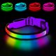 thumbnail image 1 of Collar LED PWOD para perro, pequeño, morado, impermeable RGB, 1 of 7