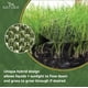 thumbnail image 4 of Césped artificial Natura PowerRun 10376807 para perros de 0,5 m x 4,5 m, 4 of 7