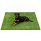 thumbnail image 1 of Alfombra de Césped Artificial Yinoos 122x81 cm para Entrenamiento de Mascotas, 1 of 9