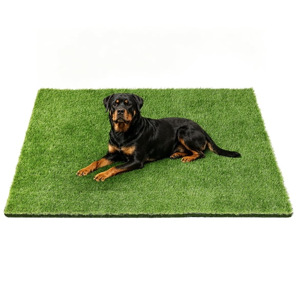 Alfombra de Césped Artificial Yinoos 122x81 cm para Entrenamiento de Mascotas