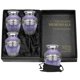 thumbnail image 1 of Urnas crematorias Trupoint Memorials, tamaño pequeño, color morado, juego de 4, 1 of 6