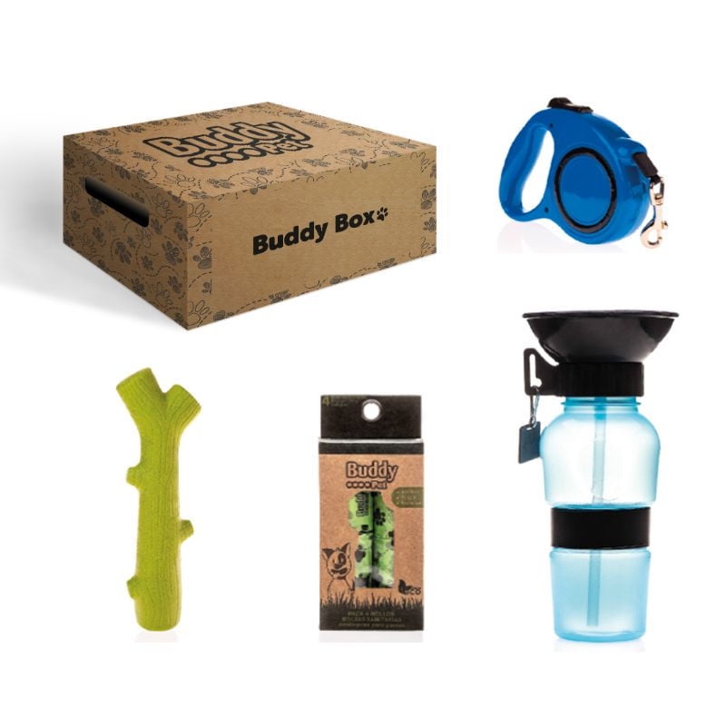 Buddy Pet - Buddy Box Paseo Accesorios Perro