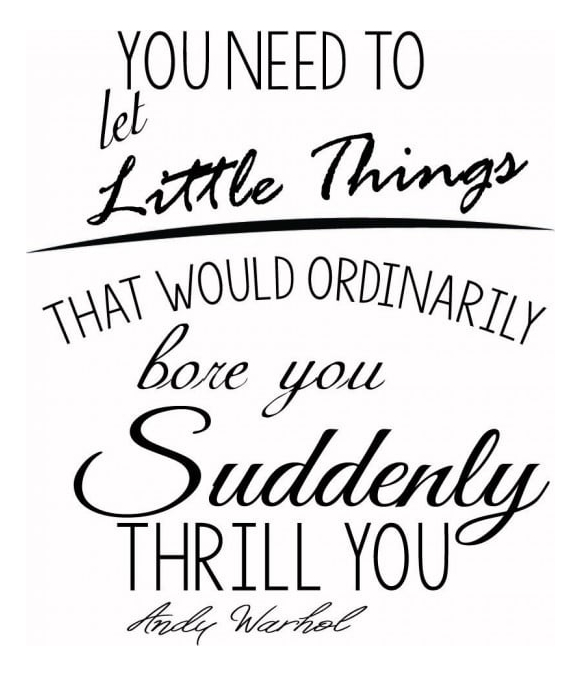 Rienda Libre Graphics - Decomural Andy Warhol Little Things Inspirational Ws-44024