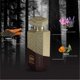 thumbnail image 2 of Perfume Maryaj Mystic Woods Eau De Parfum, 100 ml, para hombre y mujer, 2 of 7