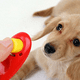 thumbnail image 4 of Clicker Adiestramiento Perro Entrenamiento Canino Mascotas Azul, 4 of 4