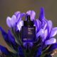 thumbnail image 5 of Aceite facial 82E Bakuchiol Slip Illuminating, 30 ml, para mujer, 5 of 9