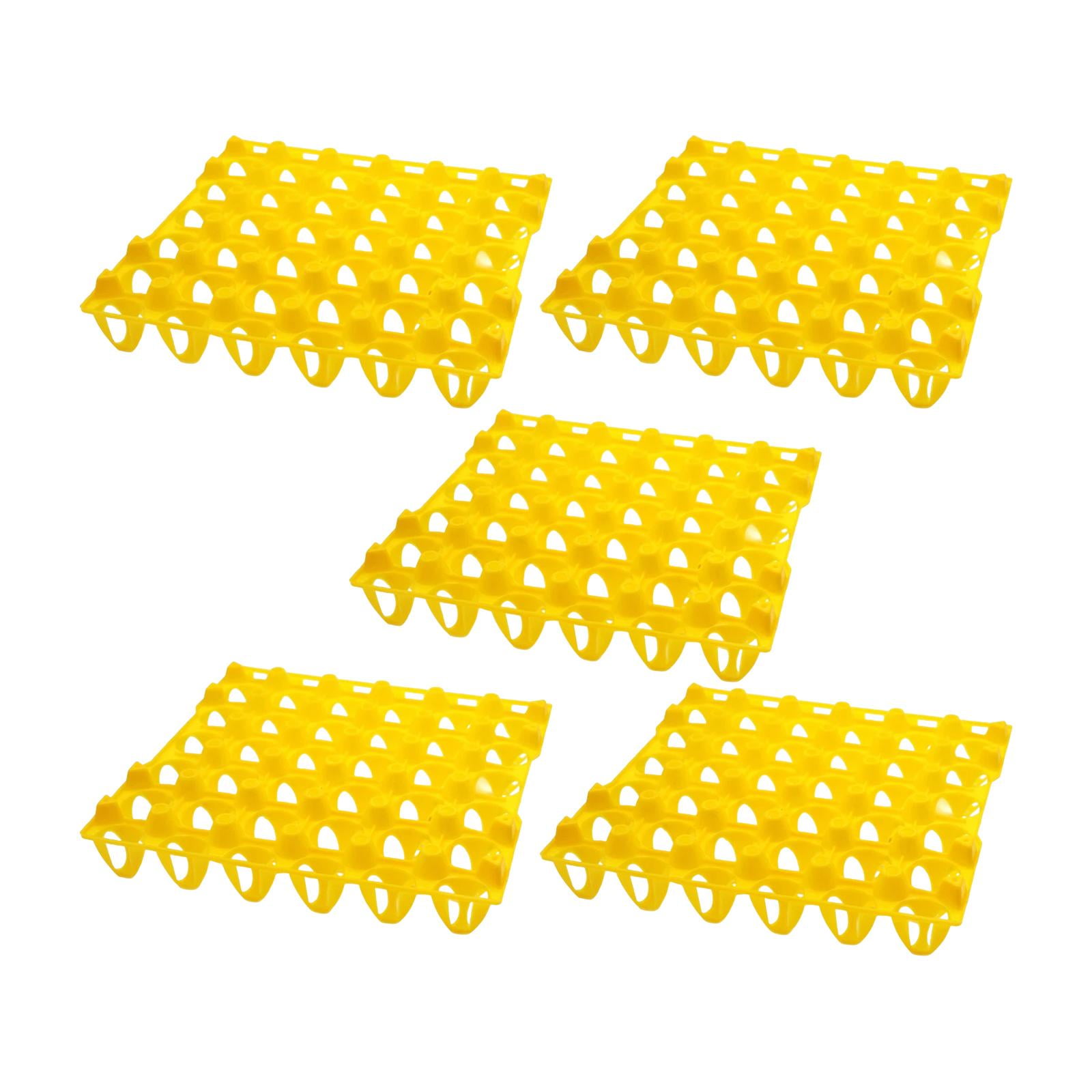 Bothyi - Bandeja Para Huevos De 30 Rejillas, Organizador De Huevos Para Nevera, Soporte Para Huevos Para Refrigerador