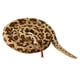 thumbnail image 5 of Juguete De Serpiente Realista Serpiente Larga Serpiente Animal De Peluche Para Ni?os Regalos Para Ni?os, 5 of 5