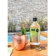 thumbnail image 2 of Jarabe Jengibre, 2 of 2