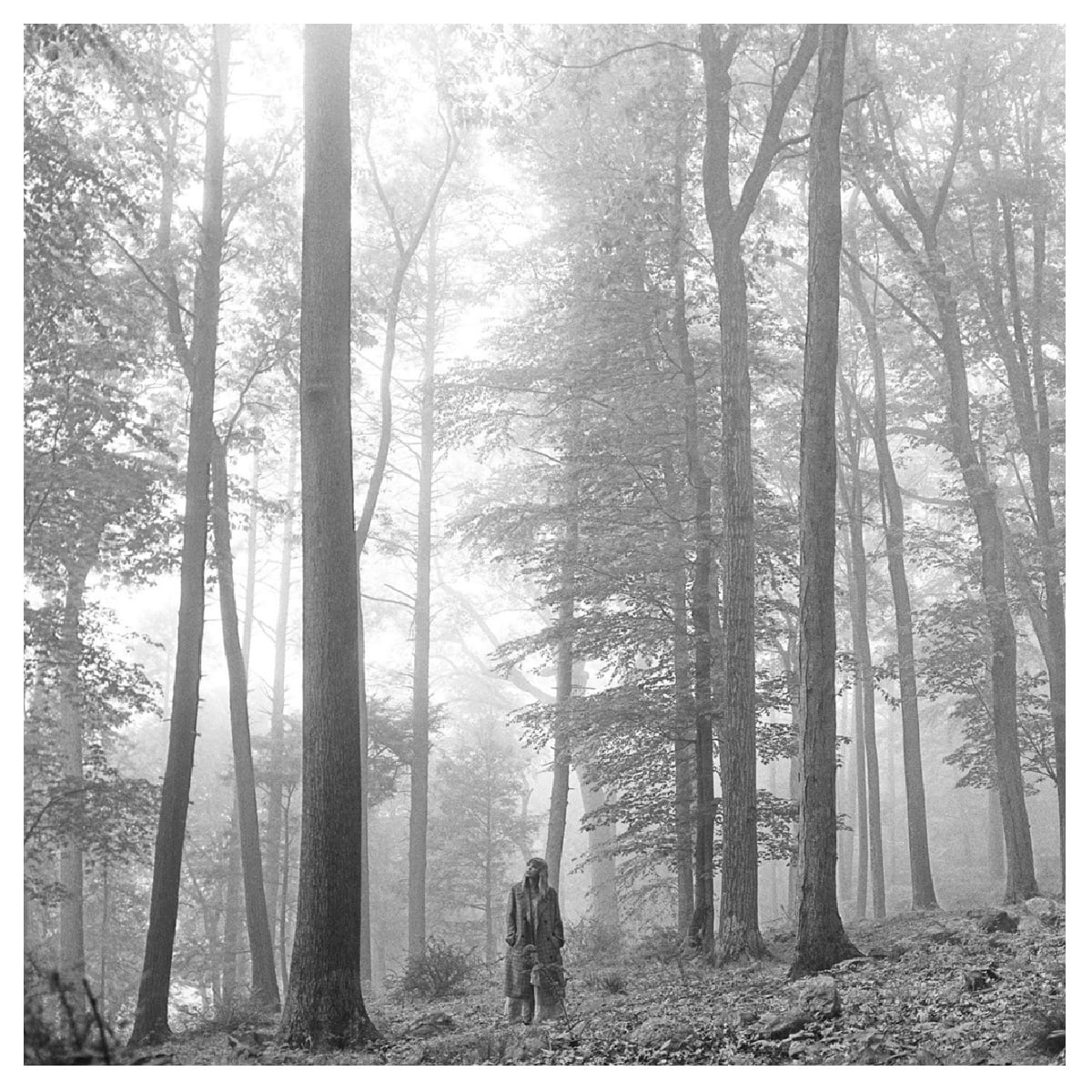 Grupo Laser Disc - Vinilo Taylor Swift/ Folklore 2lp