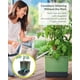 thumbnail image 4 of Plantadora vertical de tomates BUZZY Seeds con riego automático y enrejado, 4 of 9